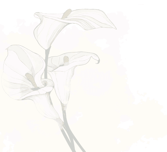 Linzag Bestattung Flower